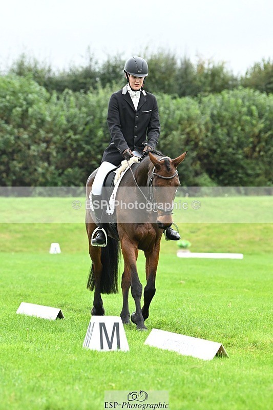 241024-111026-03155 - 504-Harry.Robinson-WHAT.A.WONDER