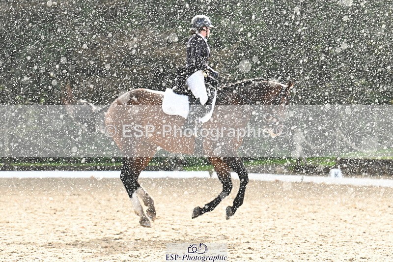 251023A-150359-05653 - B-160-Phoebe.Woods