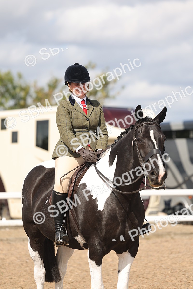 SBM_14787 - Class 308 - Ridden Coloured Horse