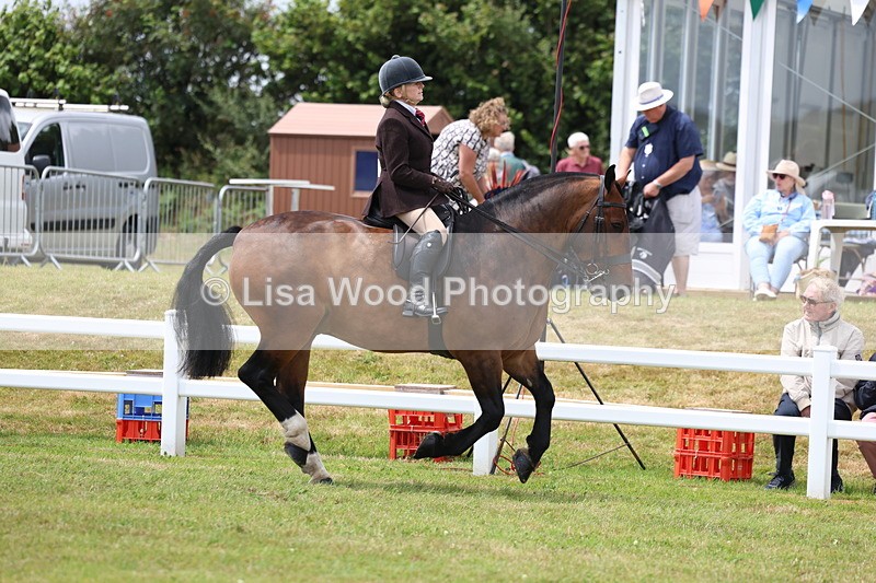 3E7A1929 - Class 10: Open Cob