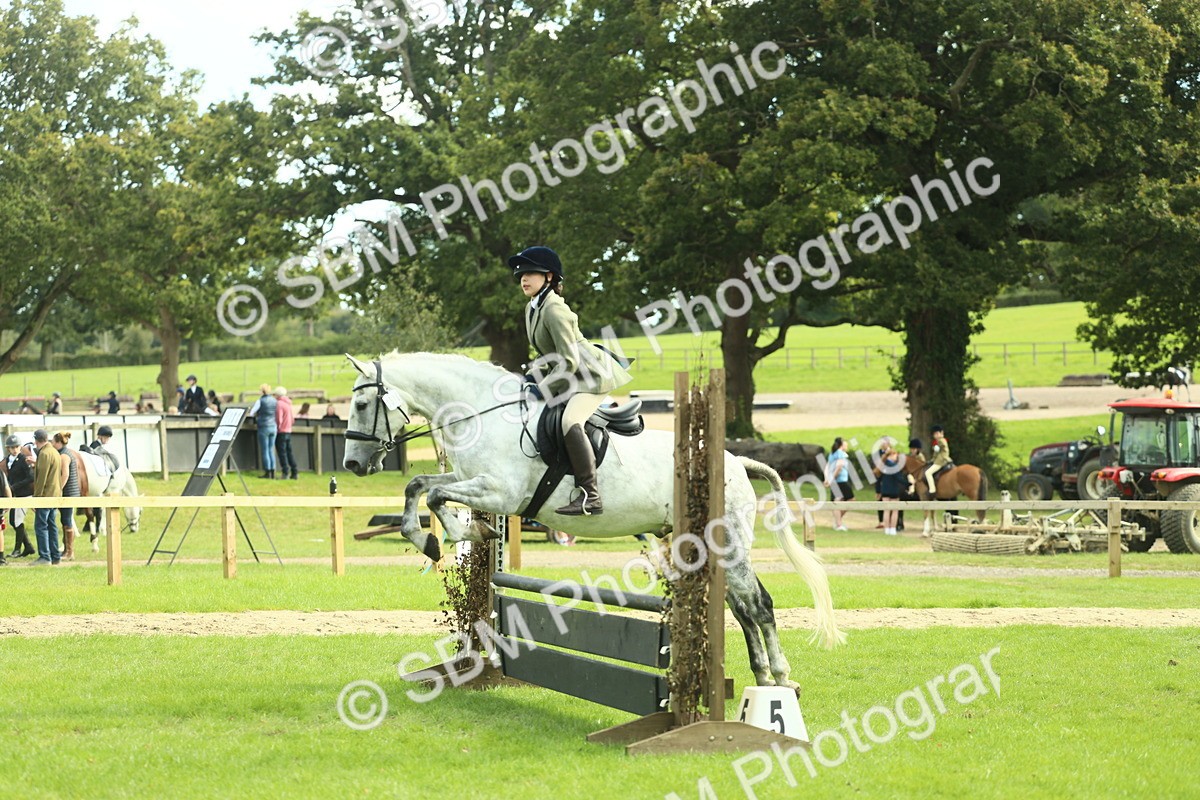 SBM_48001 - S32 - Novice & Newcomers Working Hunter