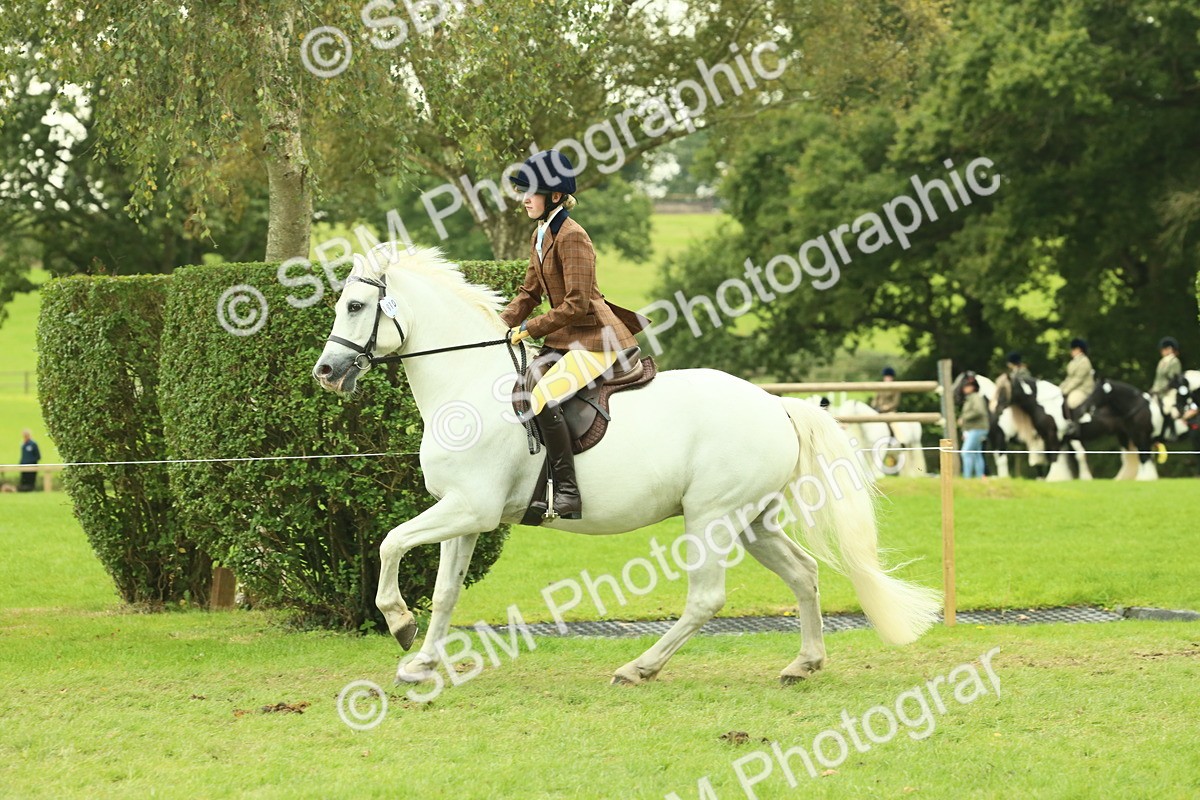 SBM_72174 - S60 - Mountain & Moorland Ridden Large Breeds