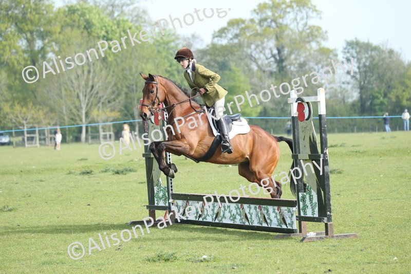 20260426-0084 - Class 13 - Rookie Jumping 50cm