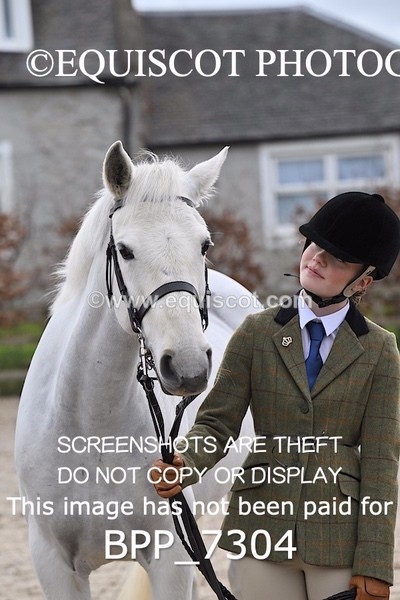 BPP_7304 - RING 1  (RIDDEN HORSES / IN HAND / VETERAN ETC)