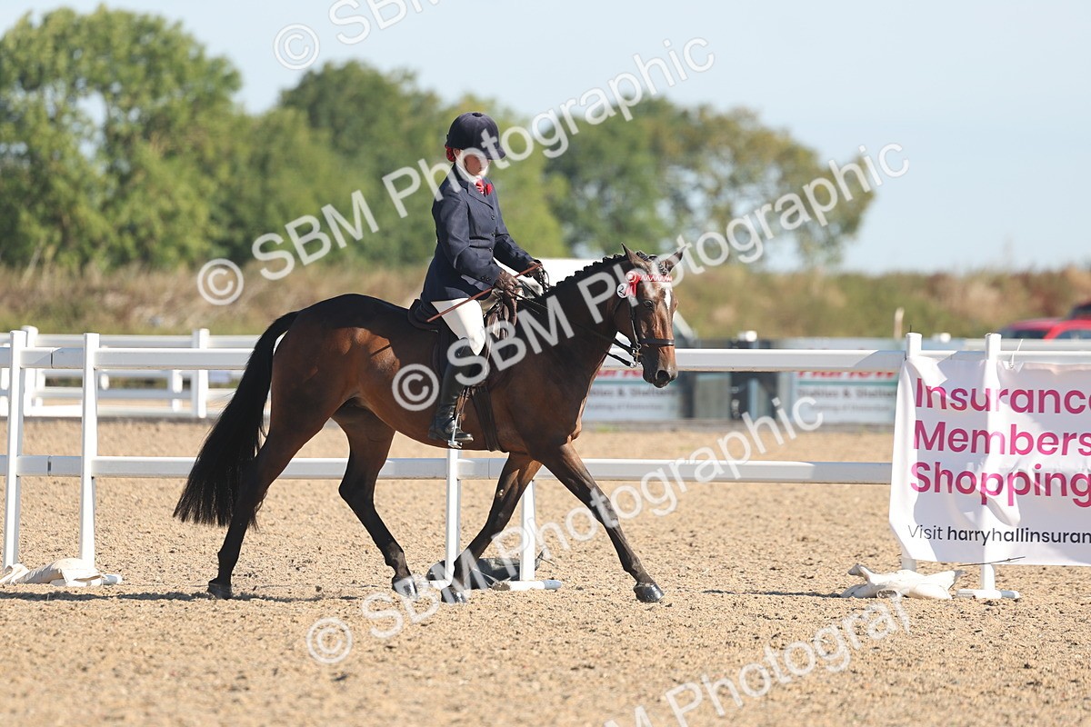 SBM_12197 - Class 303 - Ridden Pure Bred Horse Pony
