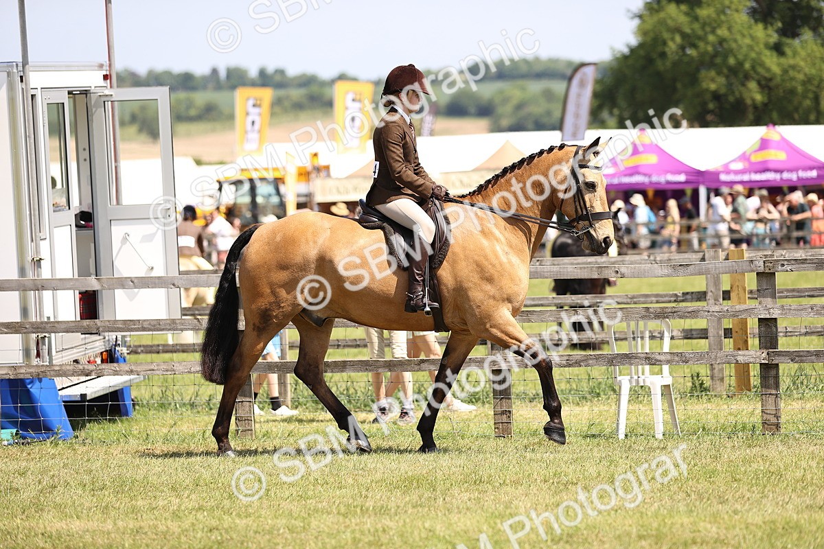 SBM_15036 - Class 79-80 - LIHS BSHA Rising Star Ridden Hunter