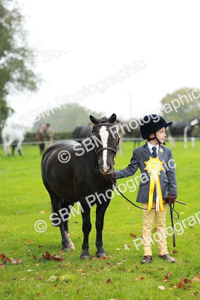 SBM_34946 - S10 - Best In Hand Horse & Pony
