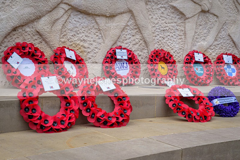 NGP_8348 - 2024 Animals in War Remembrance Gathering