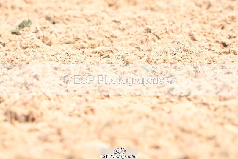 250620-112035-02817 - BD Cls 4 - Novice 5, Start to 11.30am