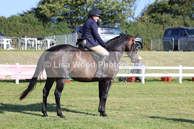 3E7A5488 - Class 2: Rising Star Large Hack/Riding Horse