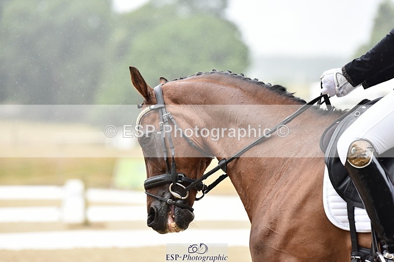 140110A-001920-10582 - 113-Danielle.Thackray-ROMANNO.MAYDREAM