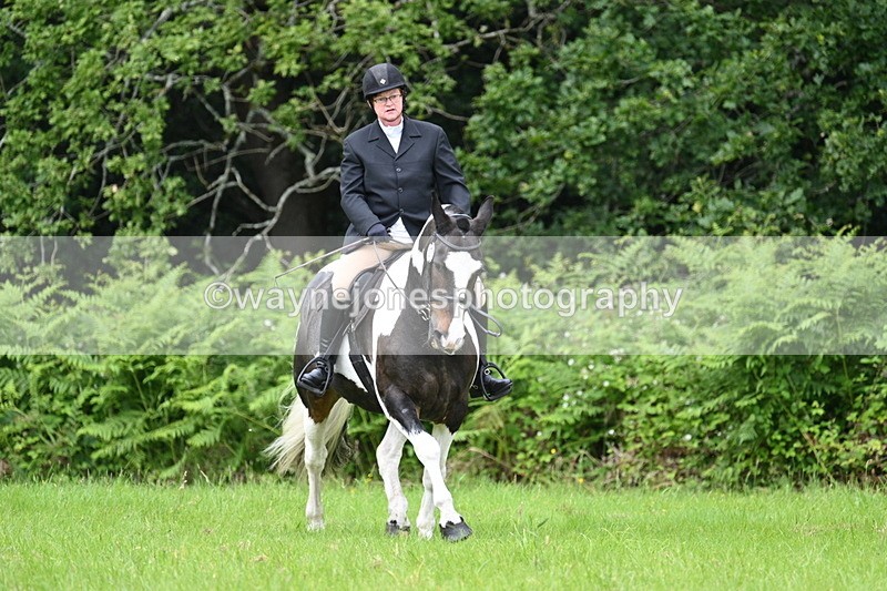 WJ7_2069 - Class 12A Coloured Class