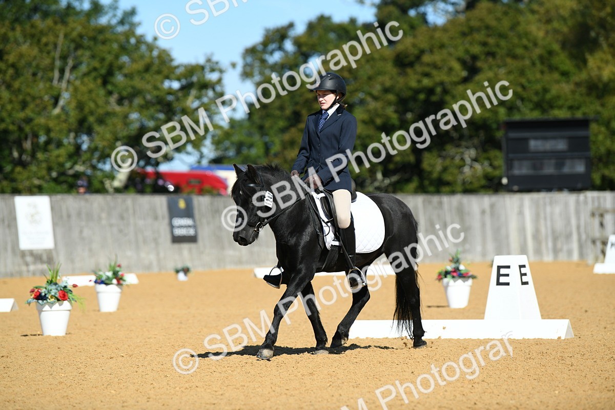 SBM_18178 - D4 - Small Tour Championship - Intro B