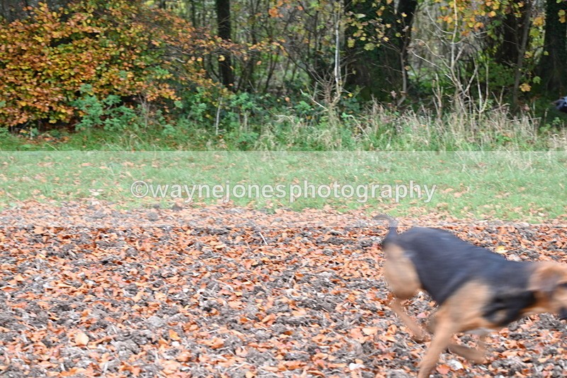 WJ6_8683 - Camera 2