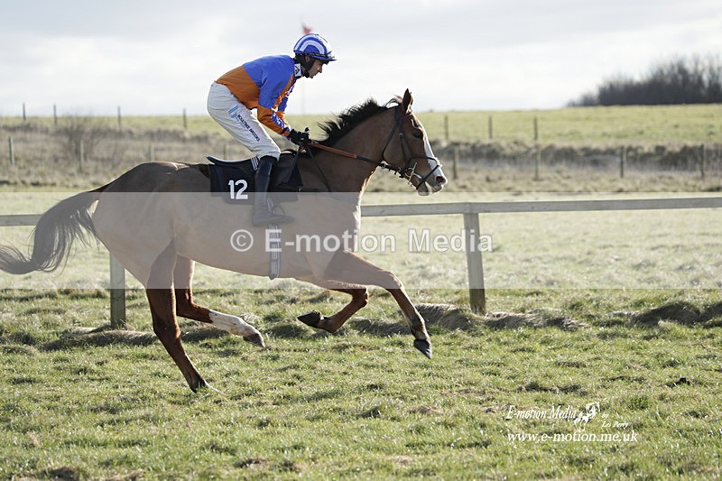 PtP 260223 1119 - South & West Wilts Point-to-Point Larkhill 26/02/23