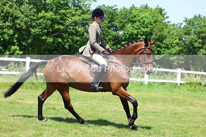 3E7A7181 - Class 30: Novice Working Hunter