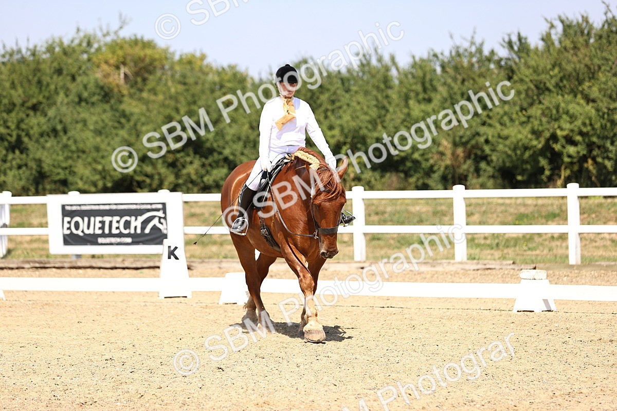 SBM_004133 - Intro 2