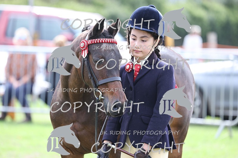 APP_2656 - Class 9 Veterans in hand