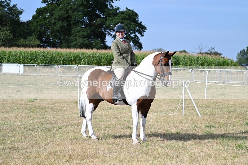 WJ7_2595 - Class 8 Ridden Tack & Turnout