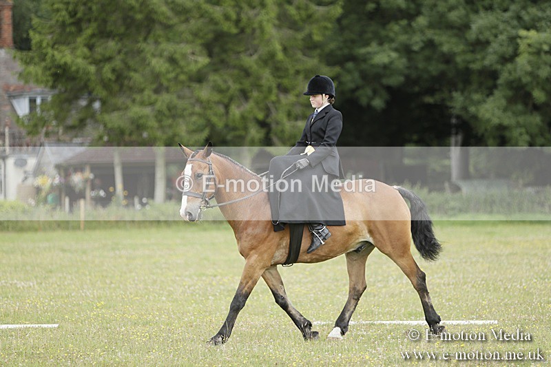 BVR160717-624 - Class 1 & 23a Dressage 16/07/17