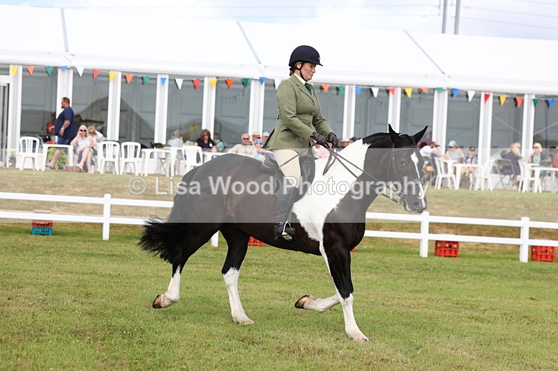 3E7A0323 - Class 6: Rising Star Maxi Cobs