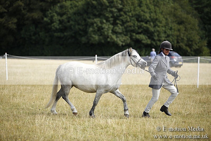 _C7A9673 - BVRC Sow 2018 Ring 2