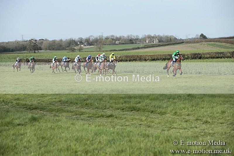 PtP 230319 448 - VWH Hunt Siddington Point-to-Point Racing 23/03/19