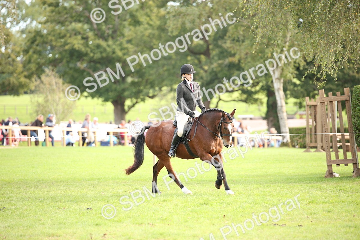 SBM_50238 - S26 - Young Veteran - Ridden