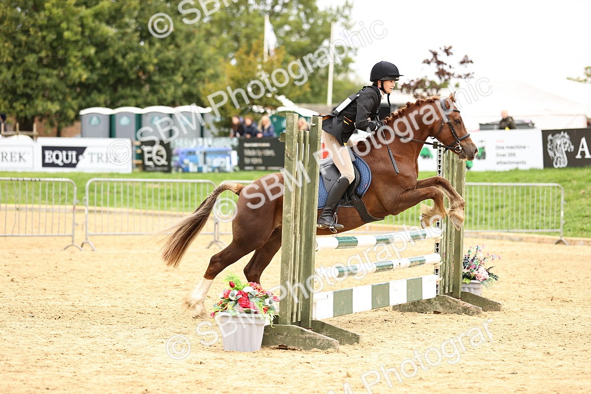 SBM_66446 - J17 - Junior Pony 80cm Championship