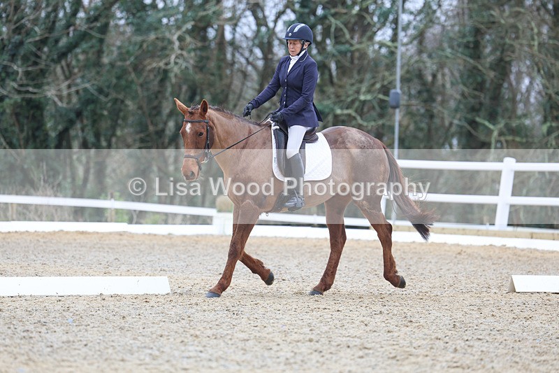 3E7A1075 - Class 6: Novice 1 2024 Section B