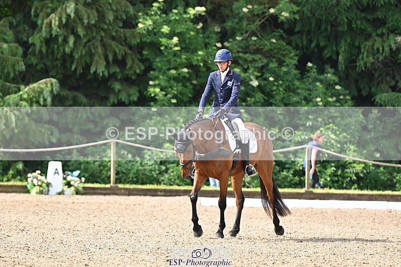 250523A-094112-05306 - C-258-Bill.Levett-ITALIAN.HARLEQUIN.NJ