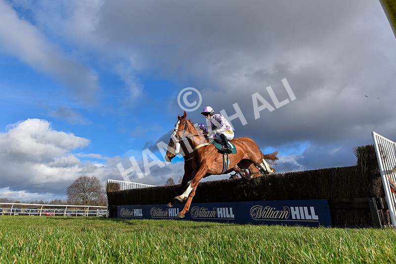 250225-Race 2-Treaty Boy-0621 - Race 2