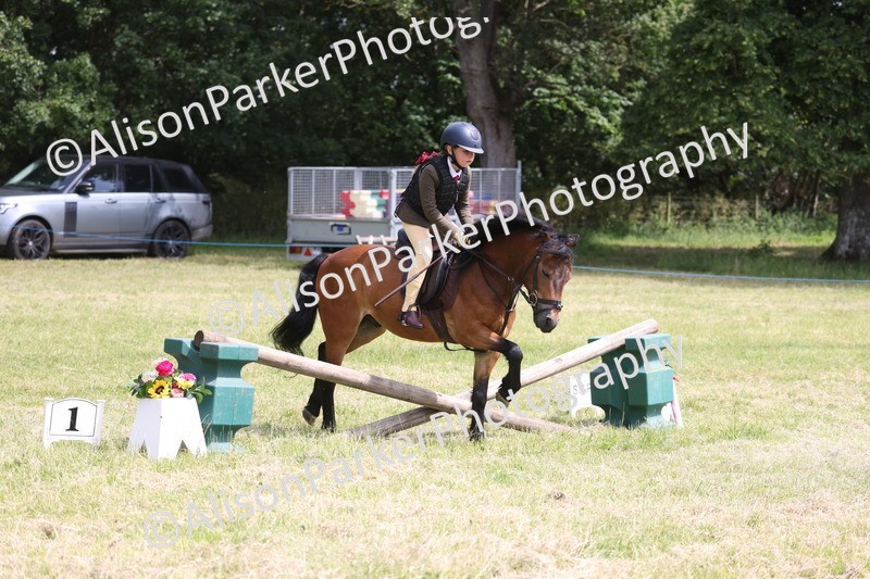 20260614-1813 - Class 21 - Novice Working Hunter Pony