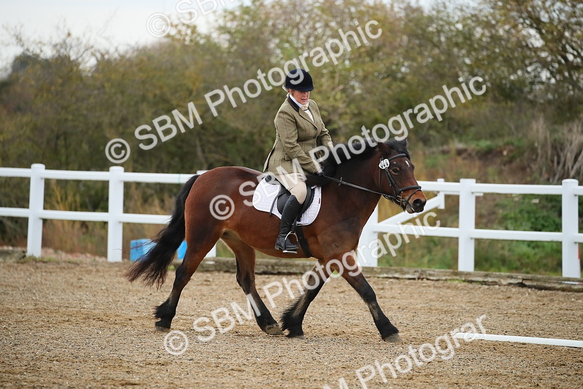 SBM_000290 - Intro 1