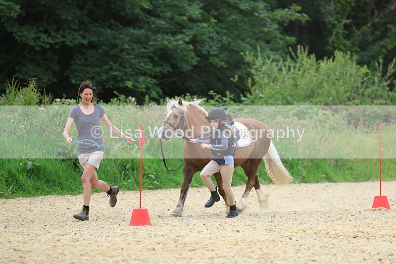 3E7A9345 - Walk trot run