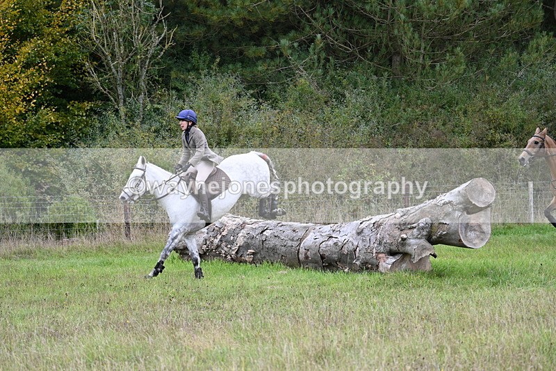 WJ7_3701 - Camera 1 Line 1