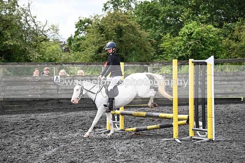 WJ6_9710 - Class 13 Novice 60cm