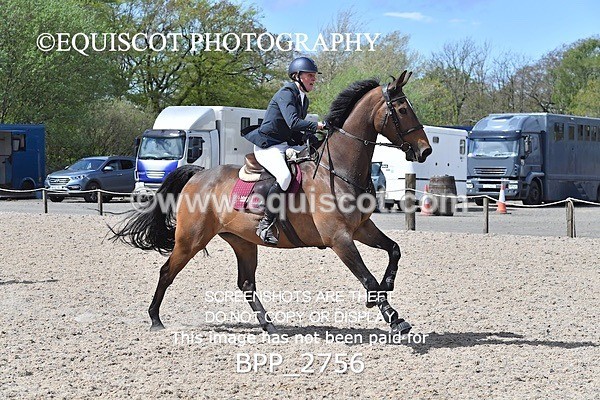 BPP_2756 - FRI CLASS 4 95CM AM CHAMP QUAL