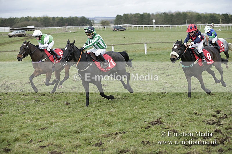 PtP 150320 0766 - New Forest Point-to-Point Larkhill 15/03/20