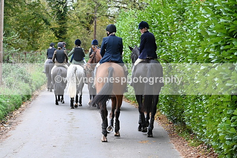 WJ7_7284 - Walk Home..