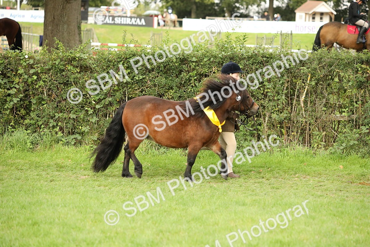 SBM_75360 - Equitation Supreme Championship