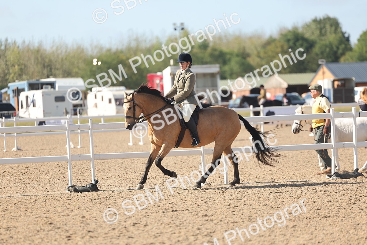 SBM_22619 - Class 804 - Ridden Veteran Pony