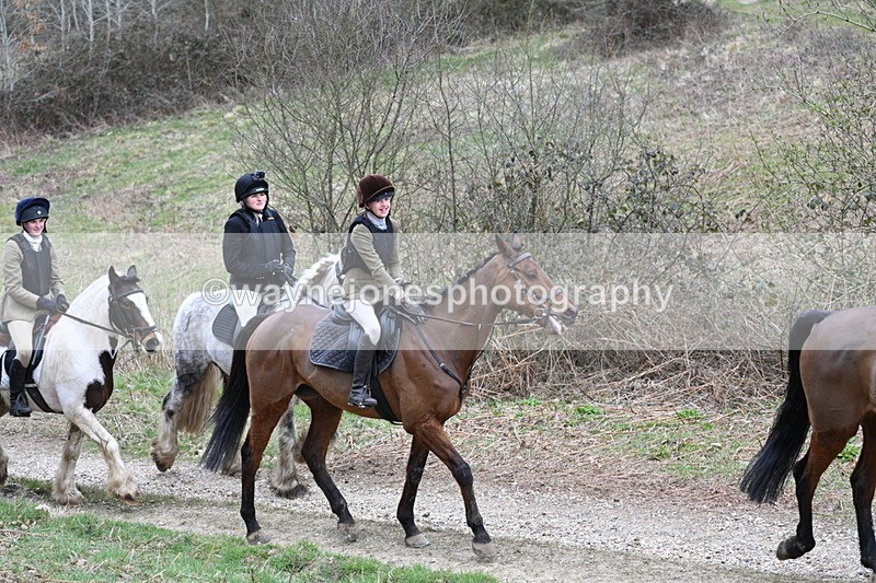 WJ7_7390 - Walk Home