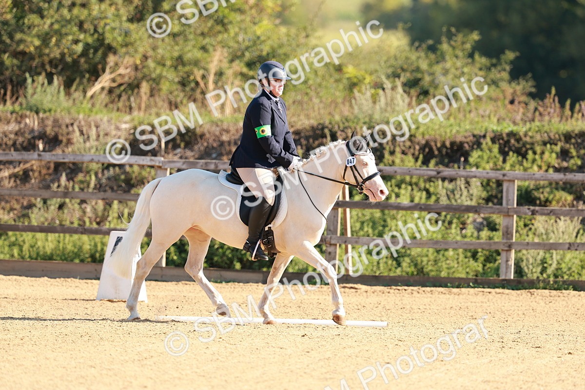 SBM_009090 - Class 1 - Intro 2