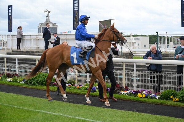 yr21052022r1-7 - Race 1: 1:40pm William Hill Play Responsibly Stakes