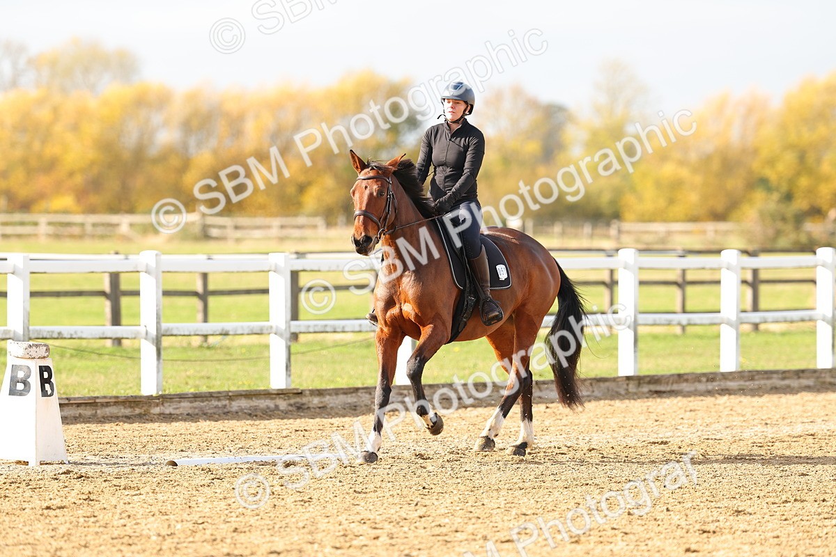 SBM_001252 - Class 13-4-9 - DR P3 CT P3 70cm CT PYO