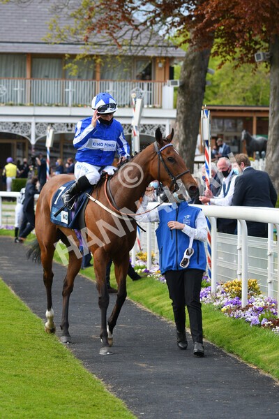 yr13052021r5-33 - Race 5 3.40pm British Stallion Studs EBF Westow Stakes
