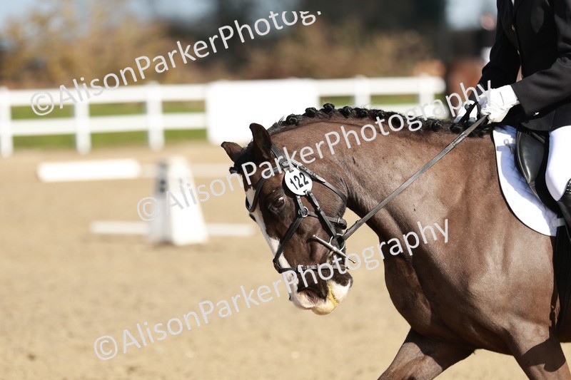 20260314-4346 - DR4 - Prelim 2