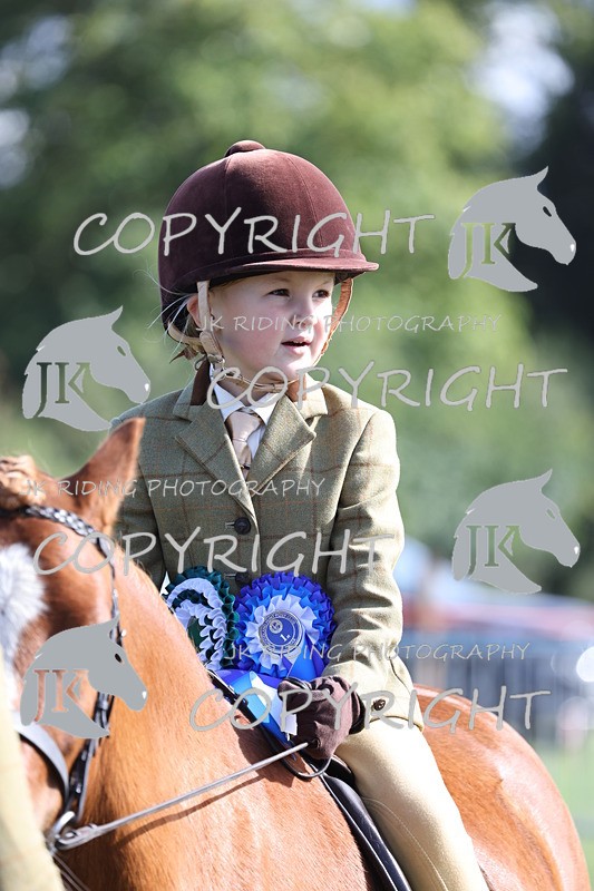 APP_3922 - Class 13 Lead rein