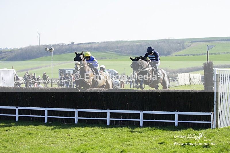 PtP 190322 497 - Wilton Hunt PtP Milborne St Andrew 19/03/22
